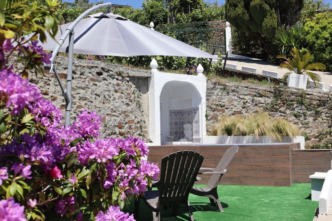 Villa Samaritana - Casa Da Vinha Vila Marim Exterior photo